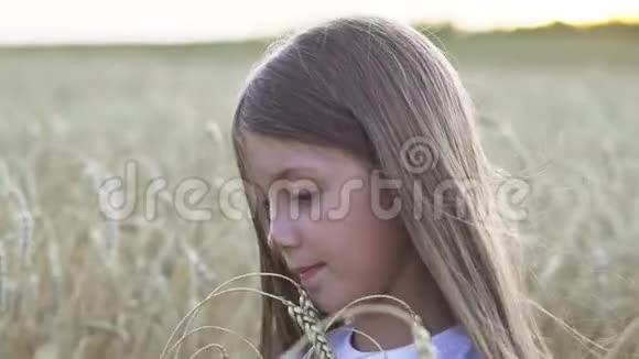 甜美的少女嗅着金色的麦子视频的预览图