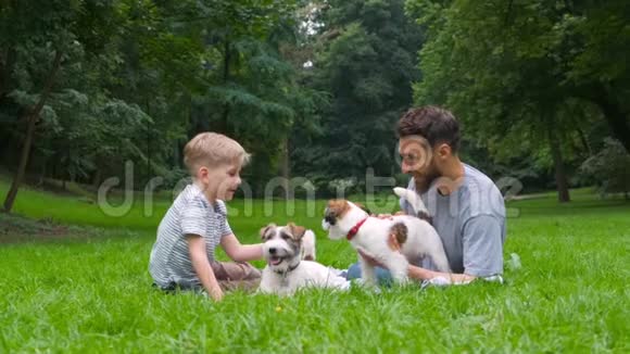 胡子男玩世不恭的家伙和小男孩躺在草地上玩夏天在绿园时和两只狗一起玩视频的预览图