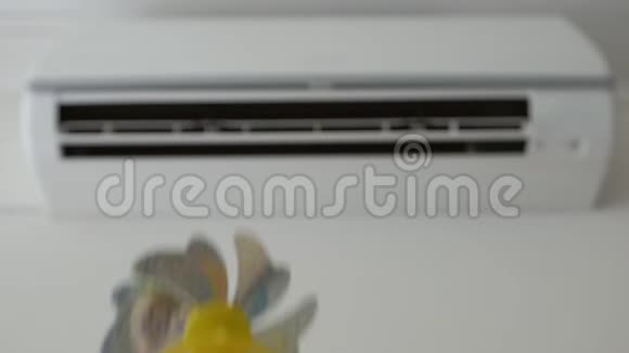 一个成年男子站在空调前拿着一个带旋转螺旋桨儿童玩具视频的预览图
