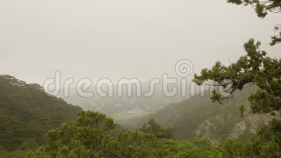 全景观山森林覆盖着浓雾的自然景观视频的预览图