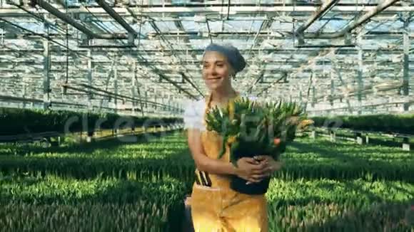 微笑的女士正拿着一束郁金香穿过温室视频的预览图