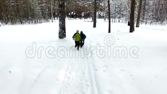 母子走在冬林里空中射击视频的预览图