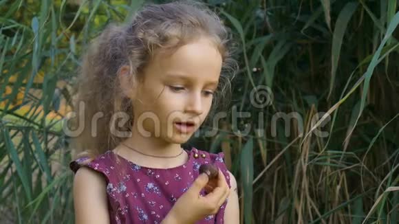 美丽的金发女郎穿着紫罗兰色的连衣裙扎着马尾辫正在公园里吃一块巧克力糖果一天后糖视频的预览图