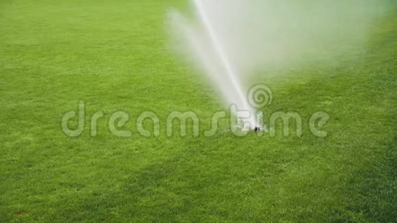 洒在足球场草地上的水视频的预览图