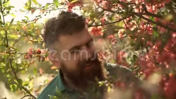 和谐理念胡子男发型时尚背景上有红色的花树有胡子和胡子的男人视频的预览图