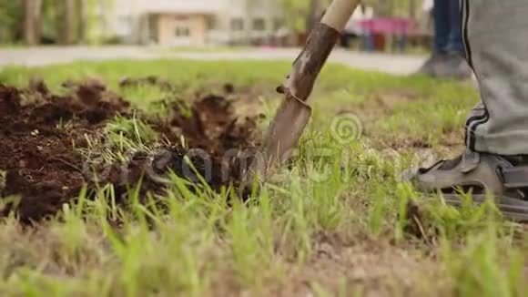 人用铲子在花坛上挖土挖草坪用于在花坛中种植花卉园艺和美化视频的预览图