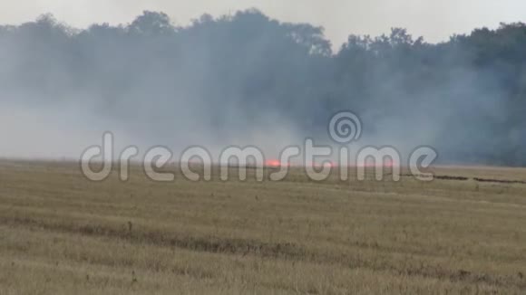 小麦地切稻草正在燃烧空气污染视频的预览图