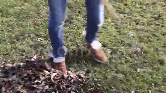 秋天的叶子被耙碎了视频的预览图