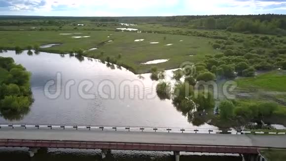 美丽平静的河流靠近绿色的草地小湖泊视频的预览图