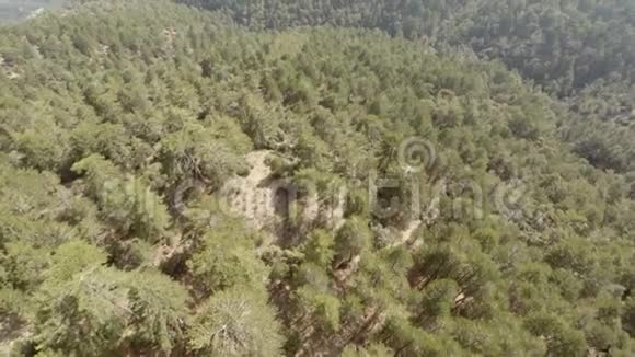 托罗多斯山上的森林视频的预览图