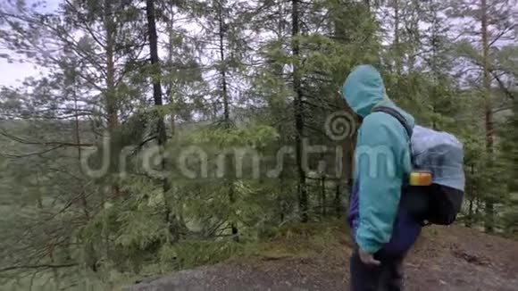 旅行者在背景上走到森林边缘库存录像旅行者站在悬崖边上背景是视频的预览图