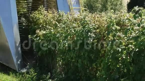 关闭塔斯马尼亚州韦斯特威的机械树莓收割机视频的预览图