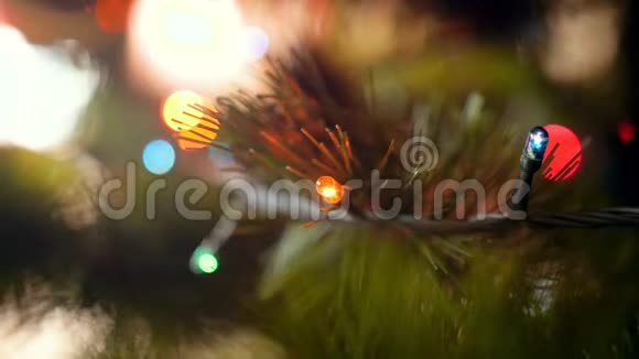 宏4k视频发光的彩色圣诞花环和杉树枝最适合你的寒假和视频的预览图