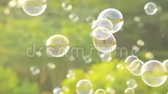 肥皂泡漂浮在空气中自然绿色模糊的背景适合公园里的孩子和孩子视频的预览图