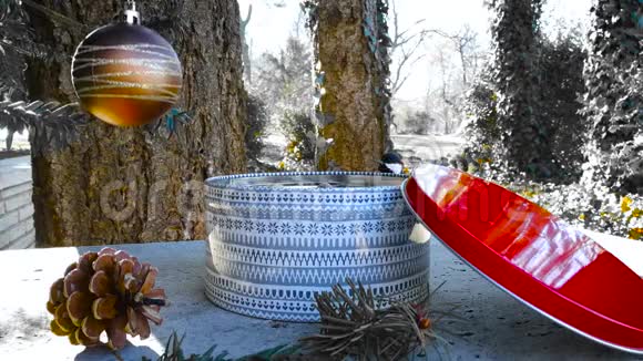 鸟儿们在冬天从礼品盒中啄食种子来过圣诞视频的预览图