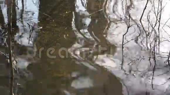泉水泛滥与树木倒影抽象视频背景视频的预览图