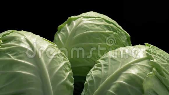 莴苣蔬菜用细水雾清洗视频的预览图