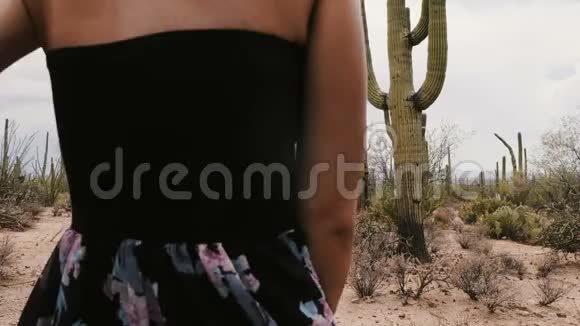 慢动作后景年轻浪漫旅人夫妇手牵手在惊人的仙人掌沙漠在美国国家公园视频的预览图