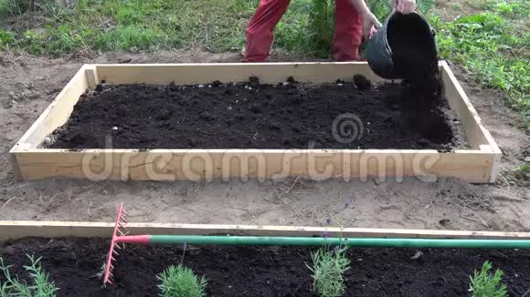 农夫将黑土腐殖质倒入新的养床上用于草药和花卉视频的预览图