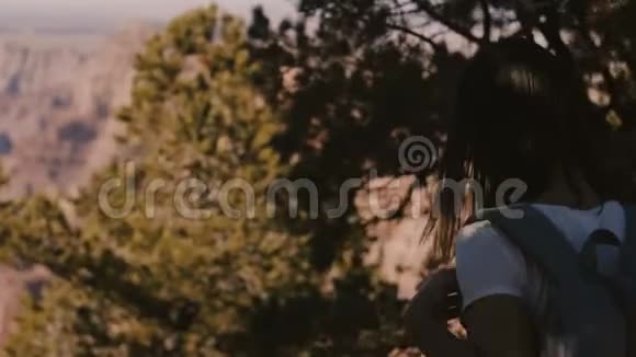 后景年轻快乐的旅行者女人带着背包走上观看史诗般的夏日大峡谷全景视频的预览图