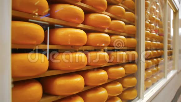 荷兰首都阿姆斯特丹的一家奶酪商店橱窗上摆满了一排圆形奶酪视频的预览图