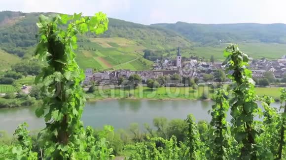 莫塞勒河的BruttigFankel城市景观葡萄园景观视频的预览图