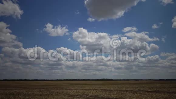 巨大的白云浮在向日葵的田野上视频的预览图