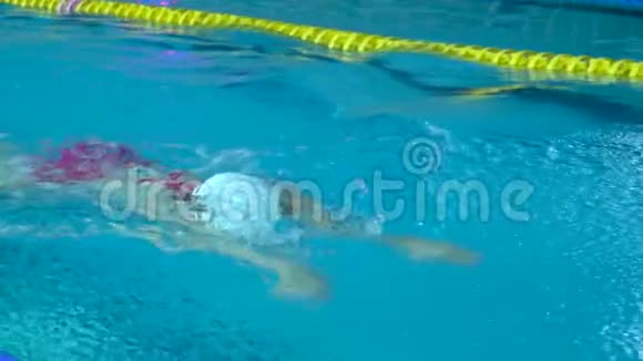室内游泳池训练过程中蝶泳运动员动作慢全高清稳拍视频的预览图