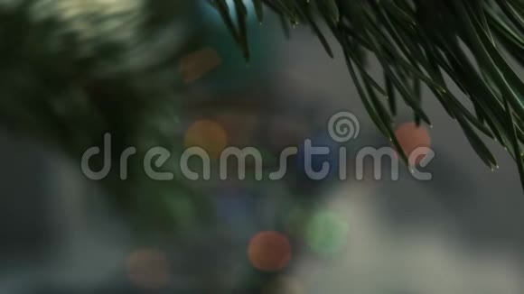 波克圣诞花环云杉树枝在五彩缤纷的灯光背景下摇曳视频的预览图