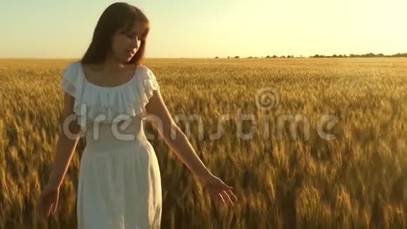 一个女人带着金色的麦子在天空中穿行有机小麦一个漂亮的女孩走过田野视频的预览图
