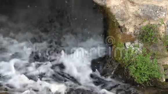 干净河流清新视频的预览图
