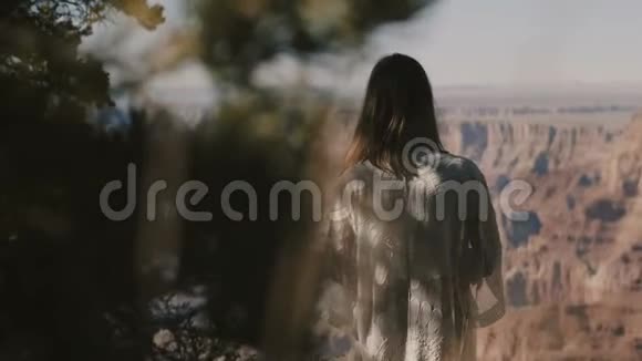 后景年轻的快乐旅行者女人享受不可思议的大峡谷史诗全景反射触摸头发视频的预览图