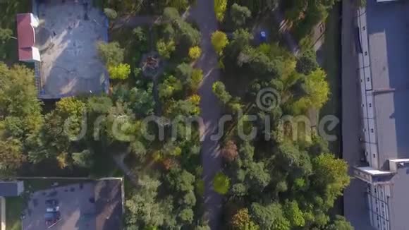 被树木包围的住宅楼的俯视图小镇医生视频的预览图