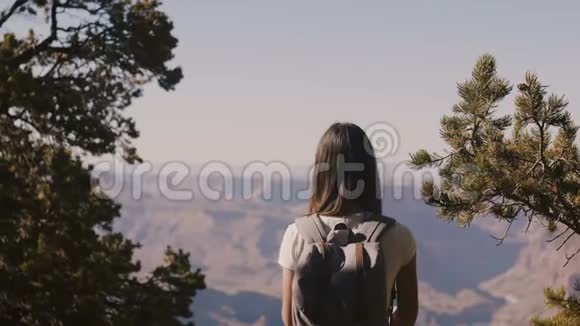 后景快乐年轻旅行者女性徒步旅行拍摄智能手机照片令人惊叹的大峡谷风景触摸头发视频的预览图