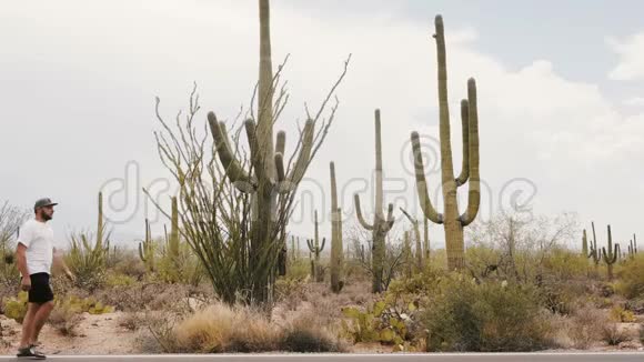 慢动作宽镜头年轻的游客沿着亚利桑那州国家公园路上令人惊叹的大Saguaro仙人掌沙漠视频的预览图