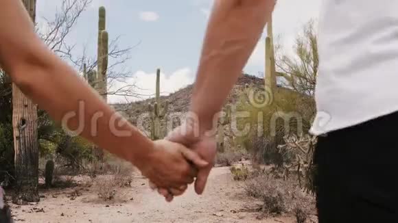 慢镜头后看年轻的新婚游客夫妇手牵手走在不可思议的仙人掌沙漠国家公园亚利桑那州视频的预览图
