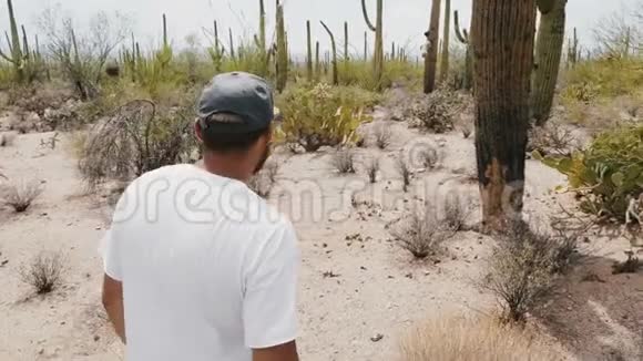慢镜头跟随年轻的游客在史诗般的亚利桑那州国家公园探索令人惊叹的大Saguaro仙人掌沙漠视频的预览图