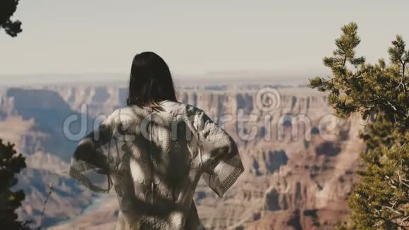 后景年轻快乐兴奋的女人站在惊人的沙漠观察点观看不可思议的大峡谷风景视频的预览图