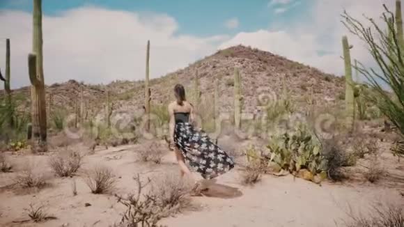 慢镜头跟随年轻美丽的旅游妇女风吹着裙子探索大萨加罗仙人掌沙漠视频的预览图