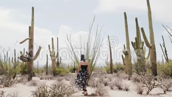 史诗般的慢动作宽镜头年轻快乐的旅游妇女走在炎热的国家公园沙漠中的大萨加罗仙人掌田里视频的预览图