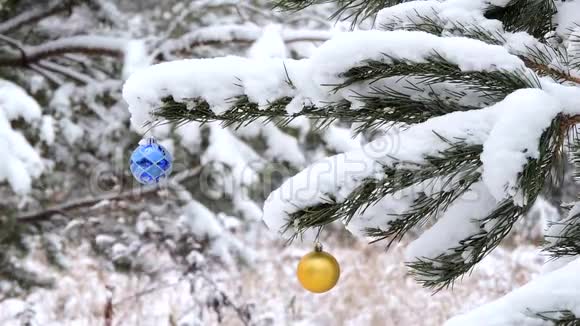 冬天在森林里下雪树枝上挂着圣诞球玩具在风中摇曳视频的预览图