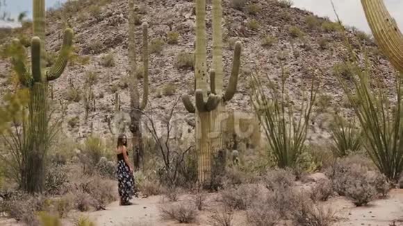 慢动作年轻美丽的旅游妇女回头看相机在巨大的萨加罗仙人掌植物在亚利桑那州沙漠视频的预览图
