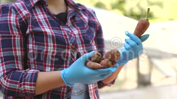 戴着蓝色手套的园丁女孩的特写镜头手里拿着一根新鲜的胡萝卜视频的预览图