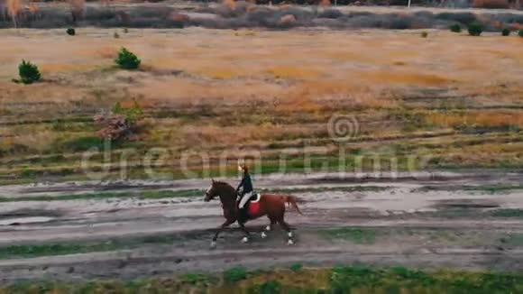 两匹骑着马的马背着水坑在路上疾驰视频的预览图
