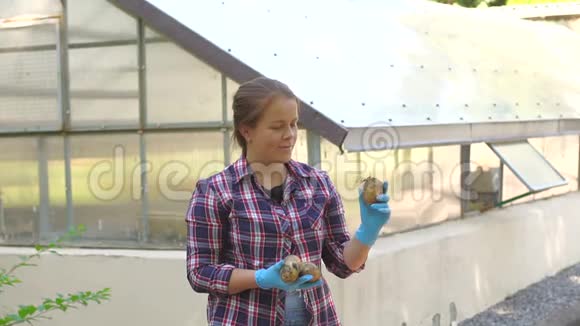微笑的女园丁拿着收获的土豆在温室视频的预览图