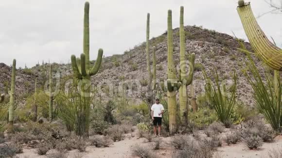 在亚利桑那州国家公园沙漠中年轻快乐的游客手举着巨大的Saguaro仙人掌慢动作视频的预览图
