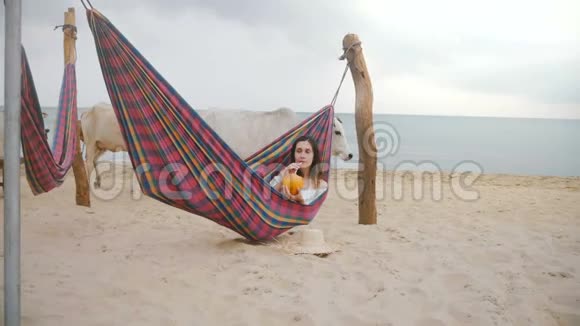 快乐的年轻旅游妇女躺在海边的海滩吊床上搭配着精美的水果鸡尾酒而圣洁的白牛路过视频的预览图