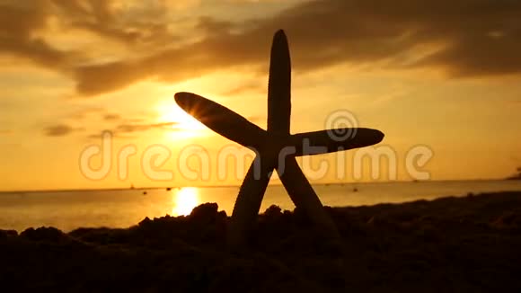 日落海滩上的海星旅游度假概念视频的预览图