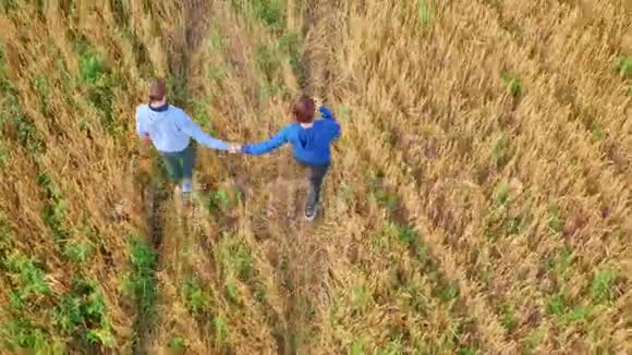 一个年轻人和一个女孩牵着手走在一片麦田里高空俯视图夏日阳光明媚视频的预览图
