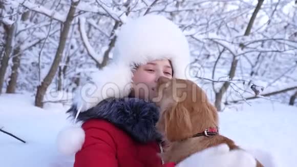 美丽的女孩微笑抚摸她心爱的狗在公园冬天狗舔女孩脸带着猎狗散步的女孩视频的预览图